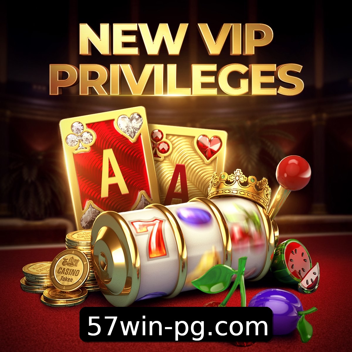 Programa VIP 57win